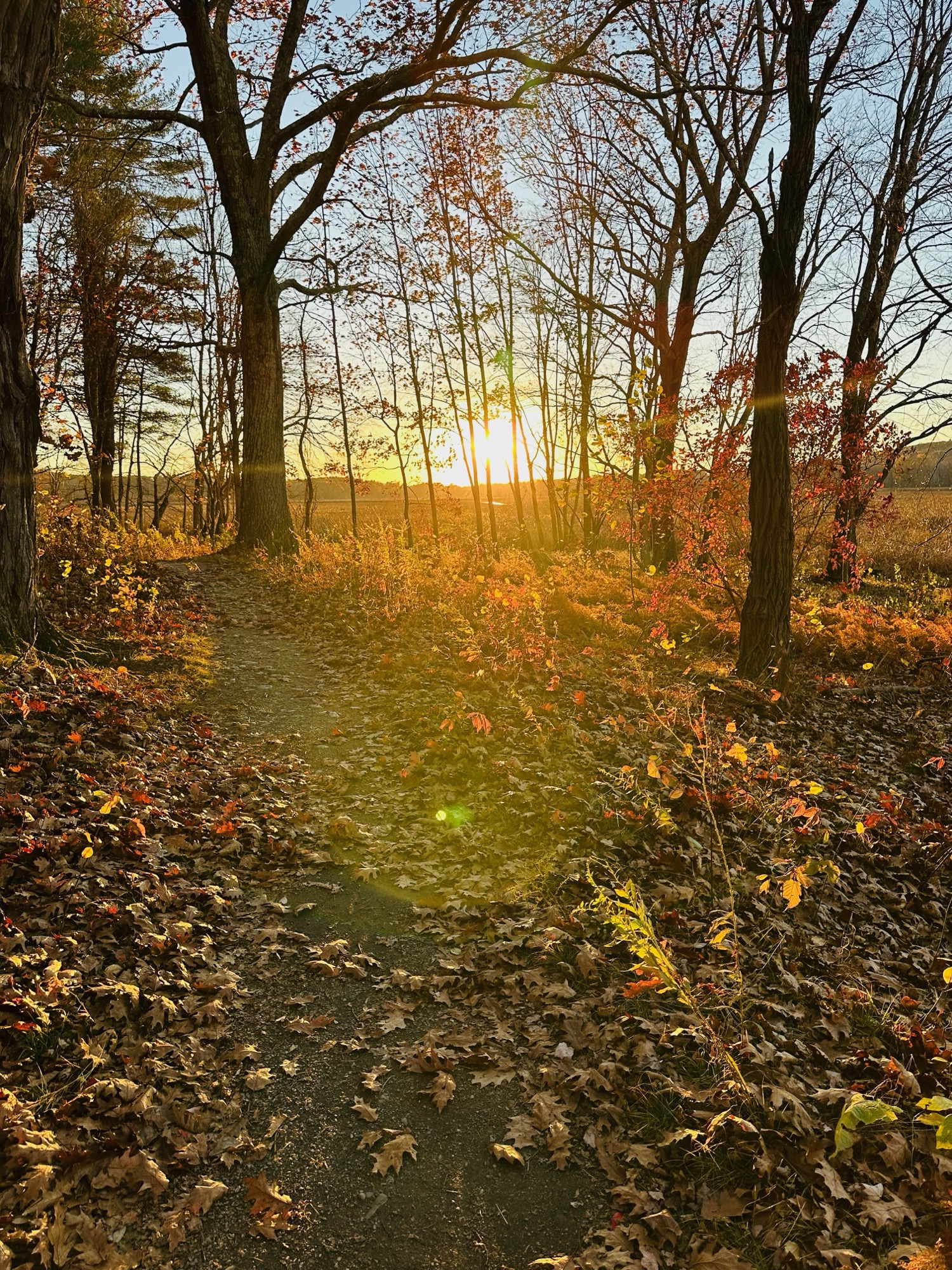 Surjective submersion photography