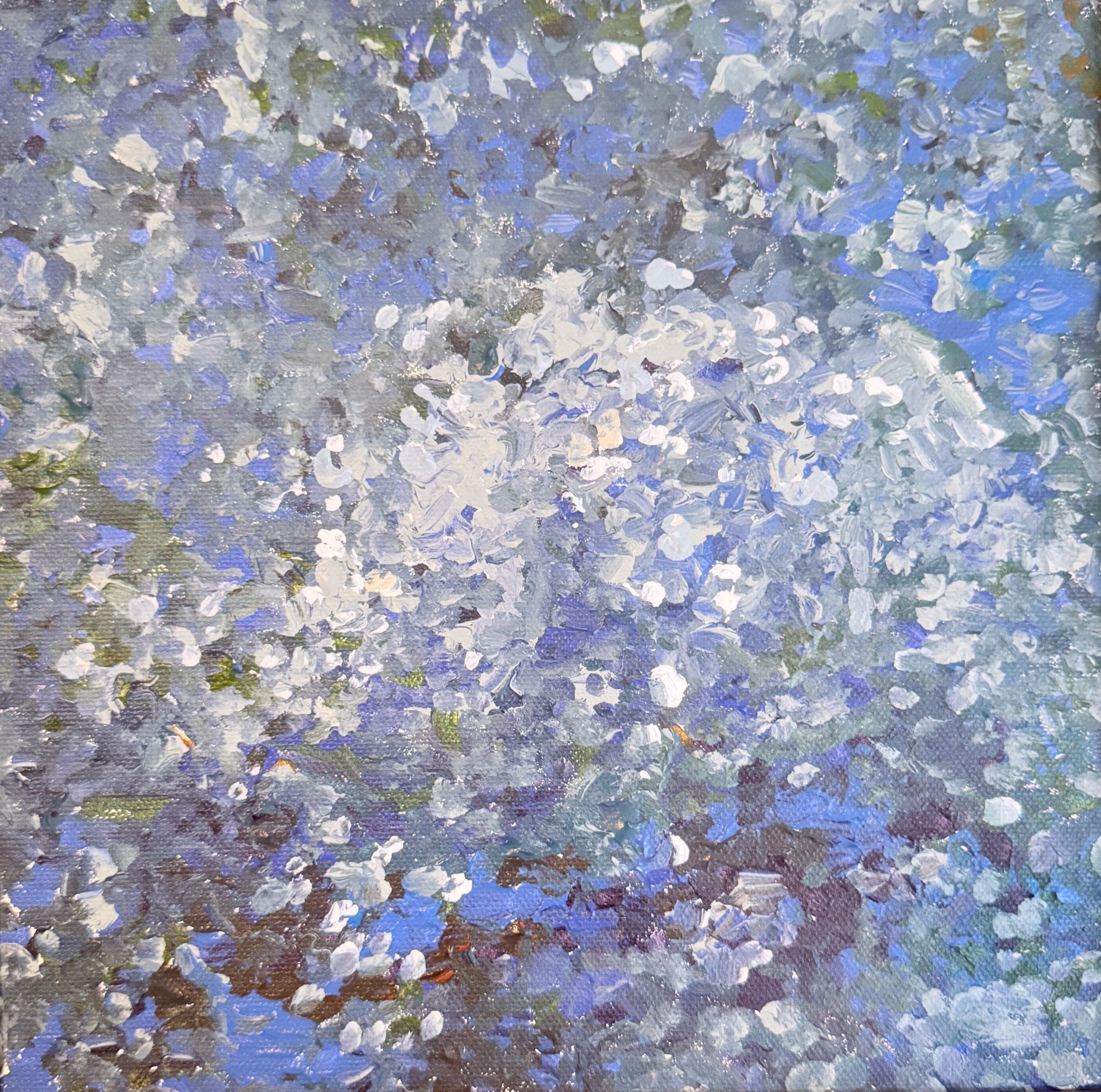 Mathematical photography