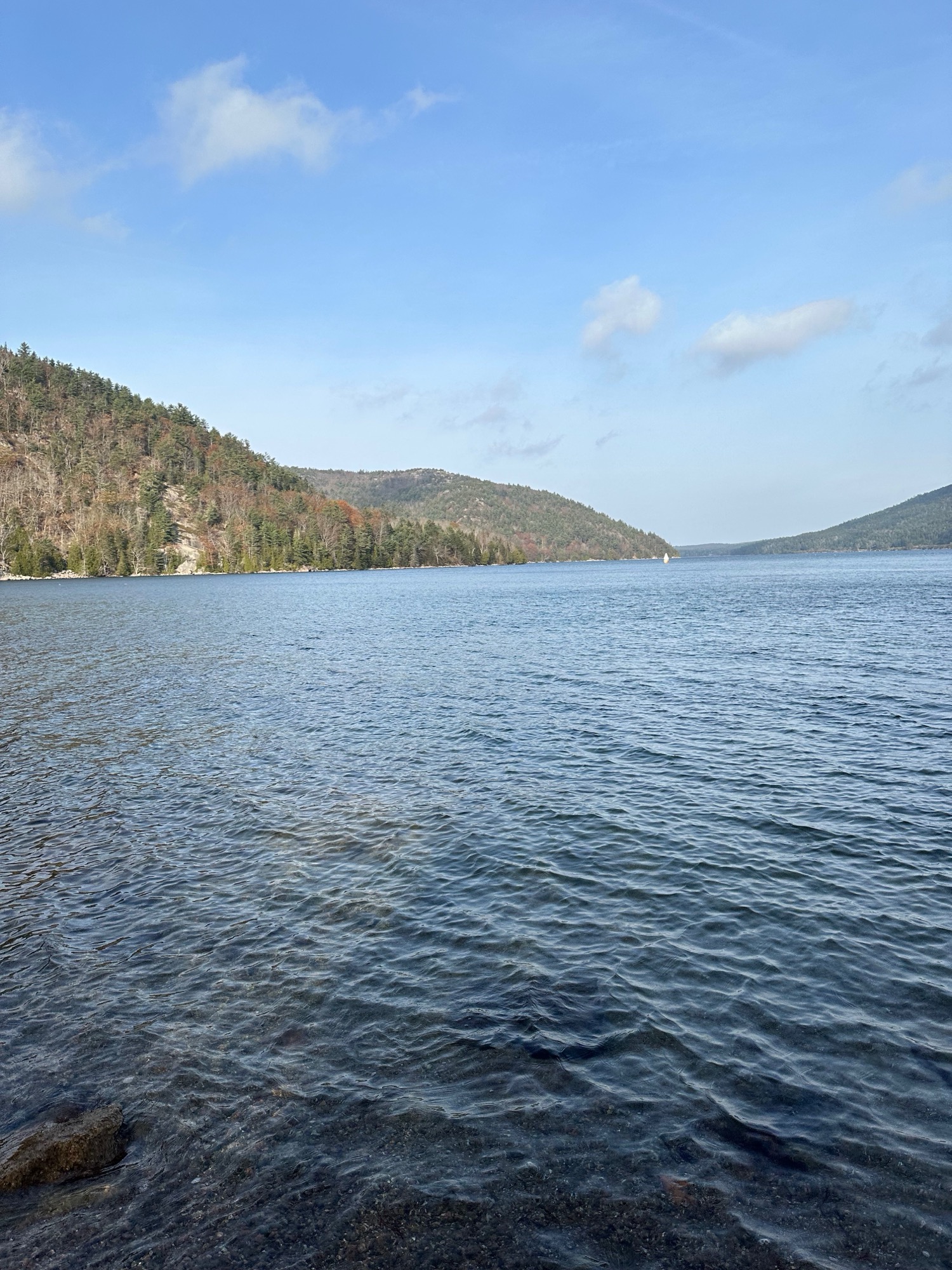 Geometric nature study